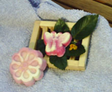 Champagner-Erdbeerseife