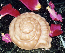 Zitrus-Avocado-Zironengrasseife